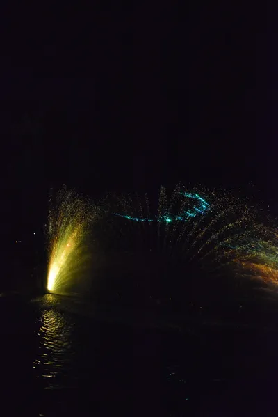 DSC_7065 (Large).JPG